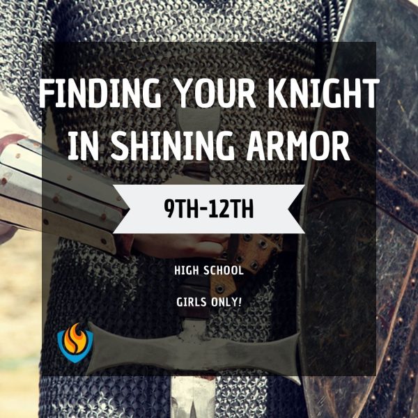 Finding Your Knight In SHINING ARMOR